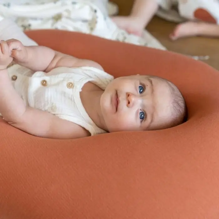 Doomoo Coussin de Grossesse et d'allaitement Buddy Terracotta
