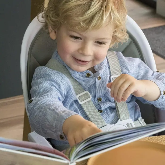 Chaise Haute Avista Warm Gris Bébé Confort Chaise haute - Bébé