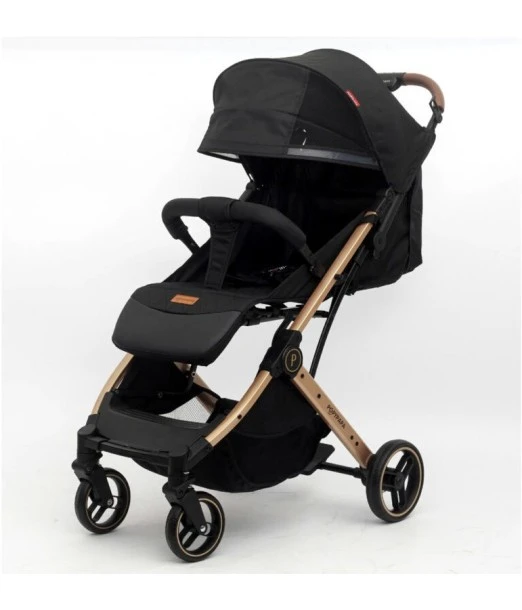 C9 compact and lightweight cabin carry-on stroller