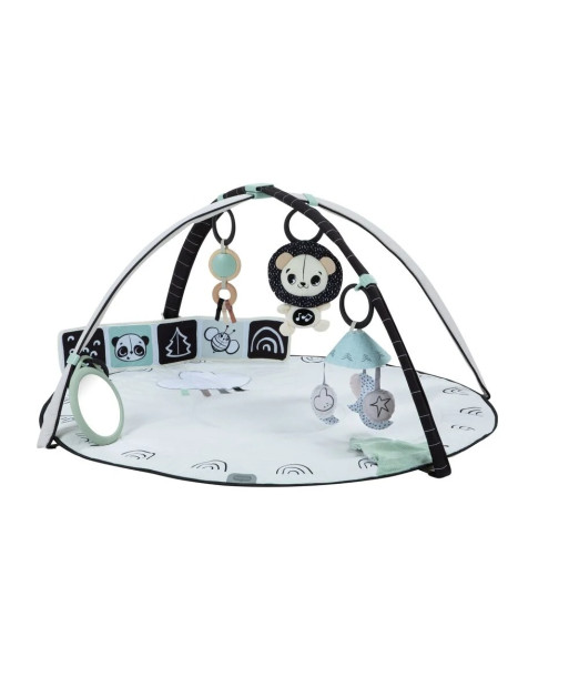 Tiny Love Tapis d'Éveil - Tapis d'Activités Black & White Tapis