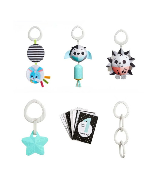Tiny Love Coffret Cadeau de Naissance - Assortiment Jouet