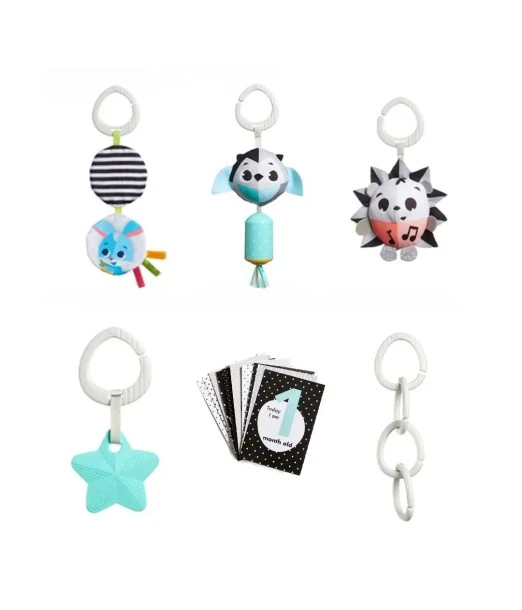 Tiny Love Newborn gift box — assorted developmental toys 0m+