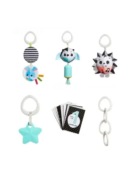 Tiny Love Newborn gift box — assorted developmental toys 0m+