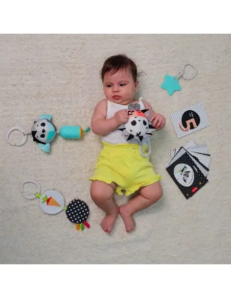 Tiny Love Newborn gift box — assorted developmental toys 0m+ — photo 5