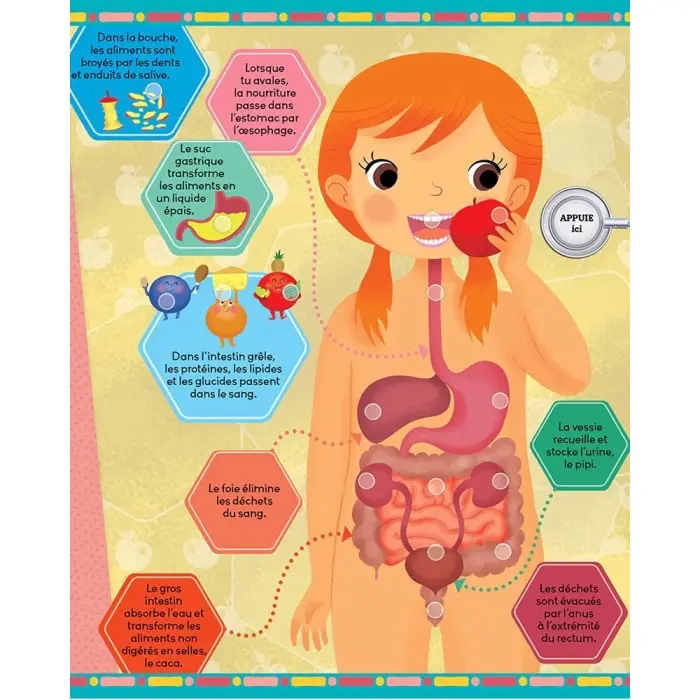 Mon livre sonore - Le Corps Humain Livres & Histoires - Maroc