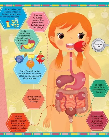 Mon livre sonore - Le Corps Humain Livres & Histoires - Maroc