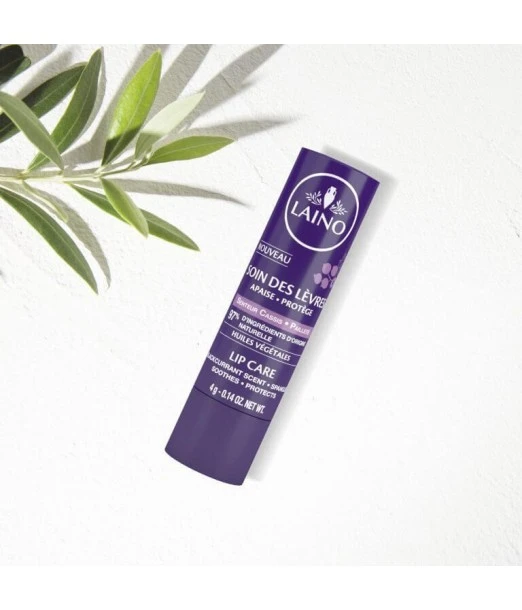 Glittery blackcurrant-scented lip care Laino