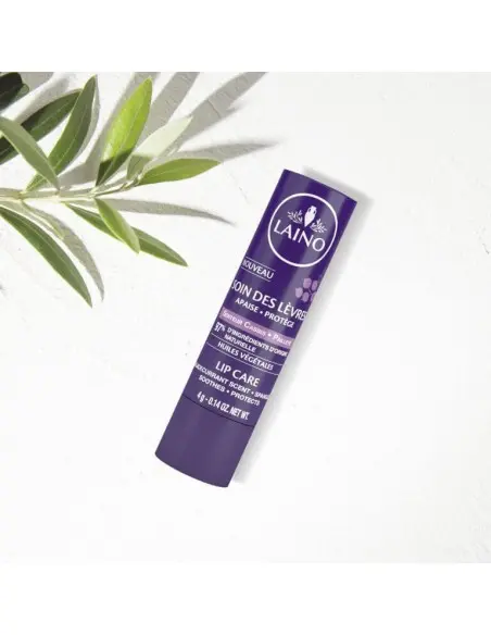 Glittery blackcurrant-scented lip care Laino