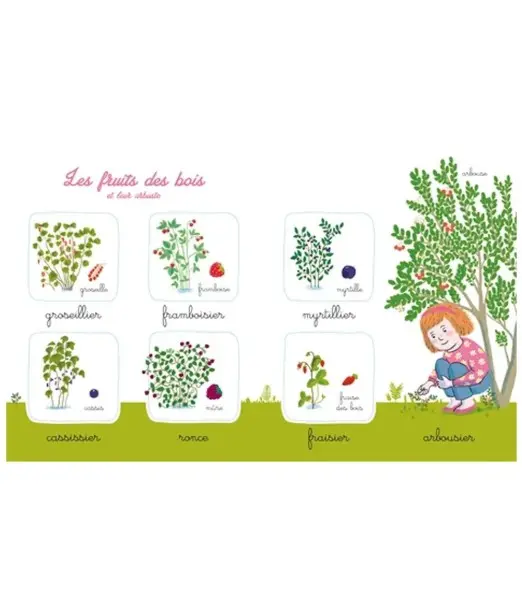Mon imagier de la nature Montessori Livres & Histoires - Maroc 2