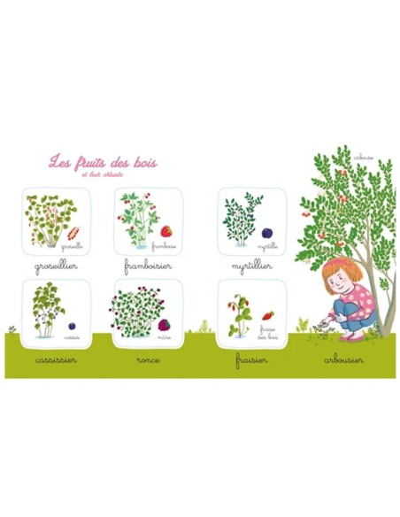 Mon imagier de la nature Montessori Livres & Histoires - Maroc