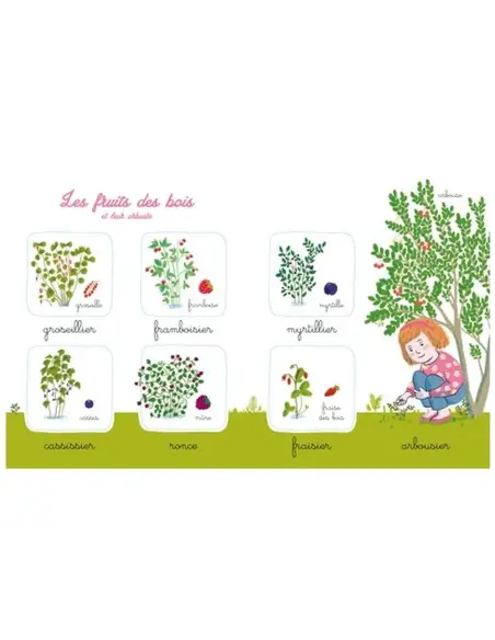 Mon imagier de la nature Montessori Livres & Histoires - Maroc