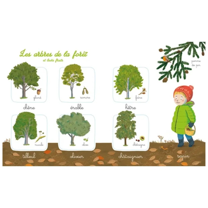 Mon imagier de la nature Montessori Livres & Histoires - Maroc