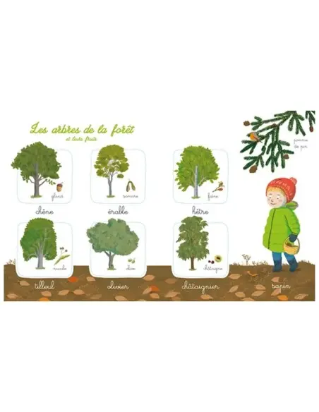 Mon imagier de la nature Montessori Livres & Histoires - Maroc