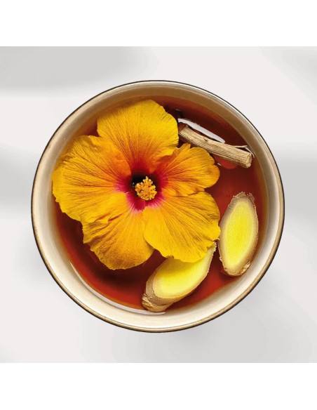 Yogi Tea Infusion Bio 17 sachets - Énergie Féminine Accessoires