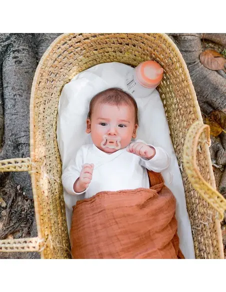 Suavinex Set Biberon Zero.Zero 180 ml avec Sucette Biberon &