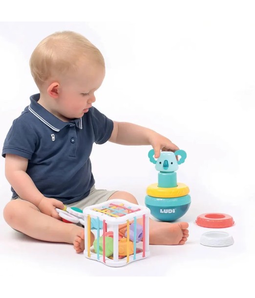 Ludi Coffret de Manipulation 4 Jeux 10mois+ 2