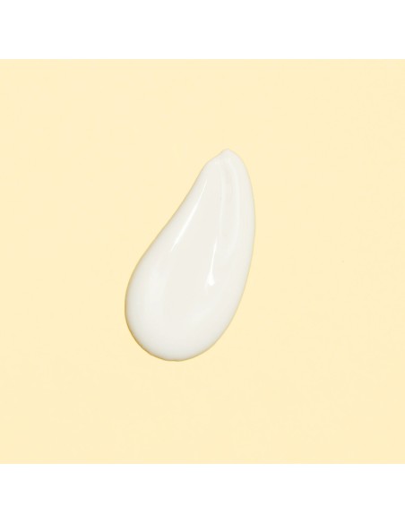 Biolane Pâte à l'eau Eryderm 75ml Crème de change - Biolane