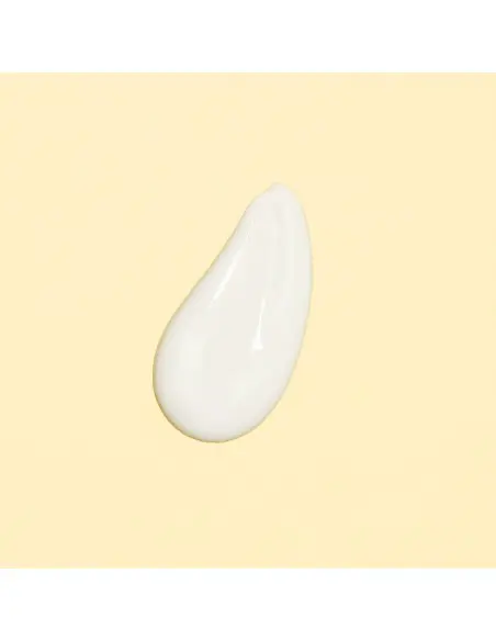 Biolane Pâte à l'eau Eryderm 75ml Crème de change - Biolane