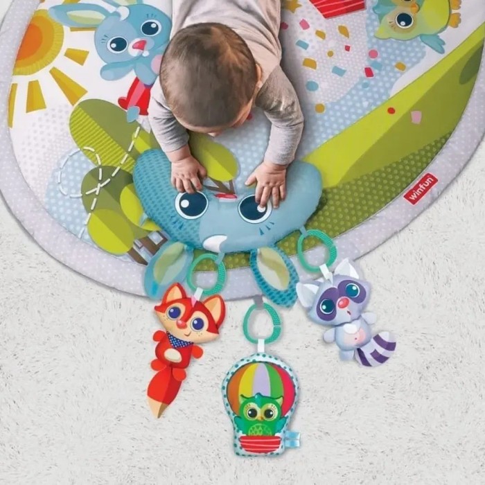 Winfun Tapis d’Activités, Tapis d'Éveil Playgym Circulaire 0m+