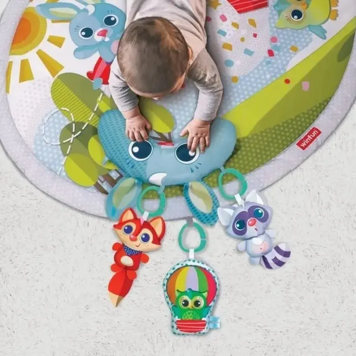 Winfun Tapis d’Activités, Tapis d'Éveil Playgym Circulaire 0m+
