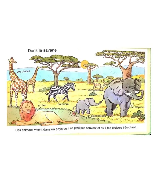 L’imagerie des tout-petits : La nature 2