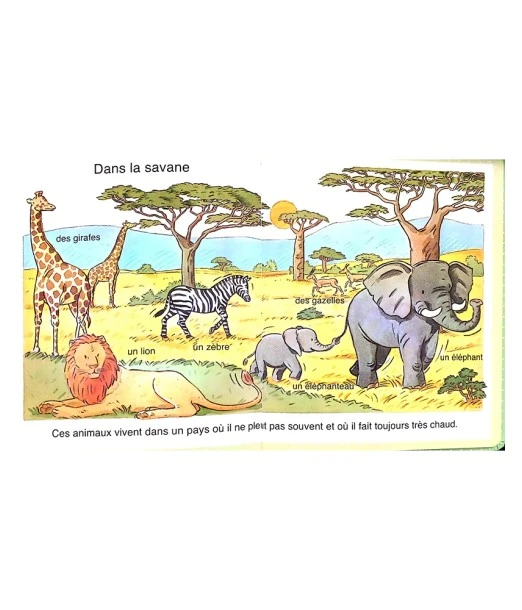Toddlers' picture book: Nature 2
