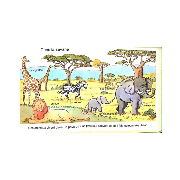 L’imagerie des tout-petits : La nature dans 0 - 3 ans chez Baby And Mom Maroc