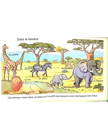 L’imagerie des tout-petits : La nature dans 0 - 3 ans chez Baby And Mom Maroc