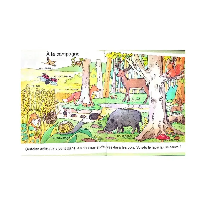 L’imagerie des tout-petits : La nature dans 0 - 3 ans chez Baby And Mom Maroc