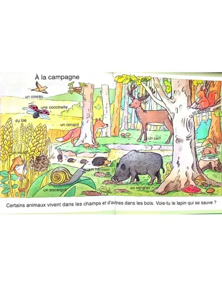 L’imagerie des tout-petits : La nature dans 0 - 3 ans chez Baby And Mom Maroc