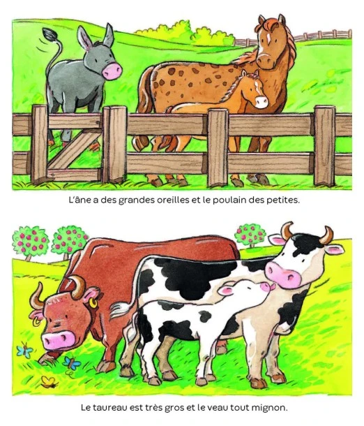 Toddlers' picture book: Animals 2