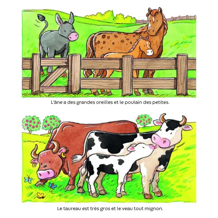 L’imagerie des tout-petits: Les animaux