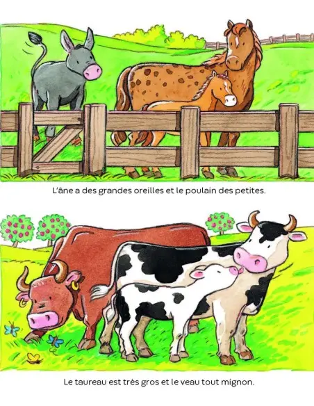L’imagerie des tout-petits: Les animaux