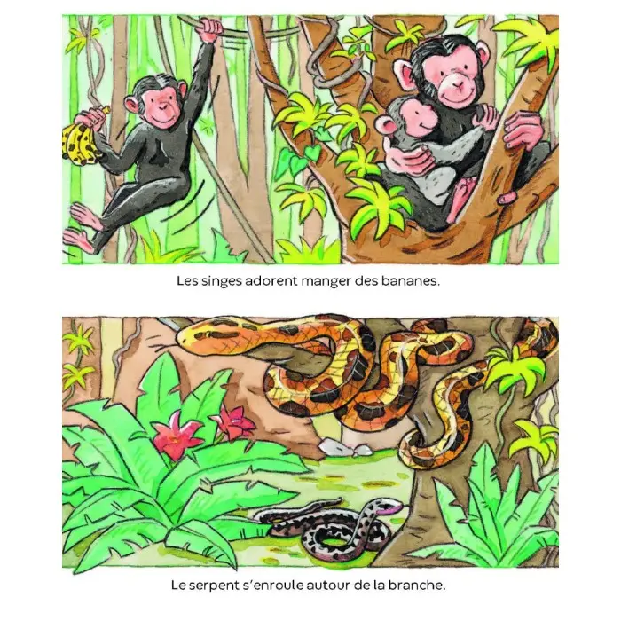 L’imagerie des tout-petits: Les animaux