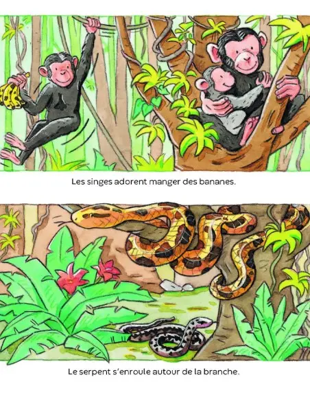 L’imagerie des tout-petits: Les animaux