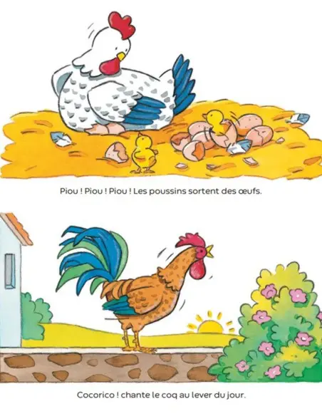 L’imagerie des tout-petits : La Ferme dans 0 - 3 ans chez Baby And Mom Maroc