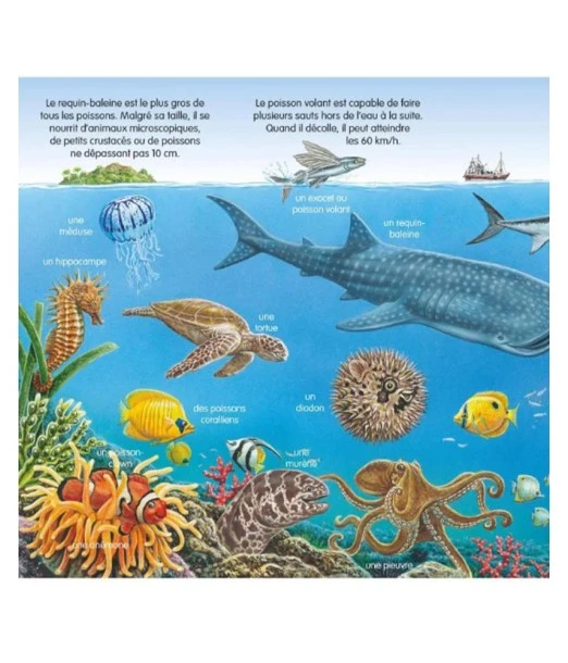 The toddlers' picture book: The Sea 2