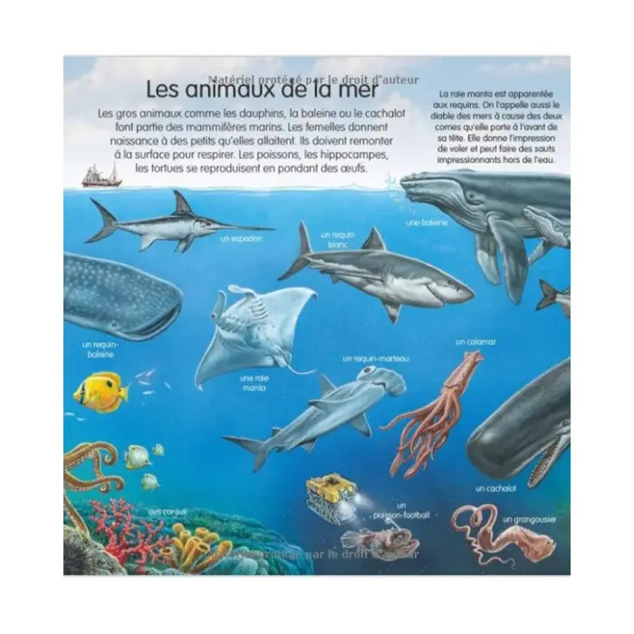 L’imagerie des tout-petits: La mer 0 - 3 ans - Editions