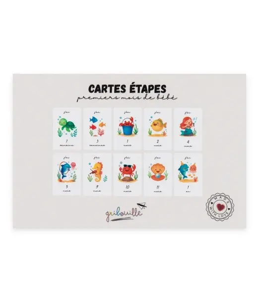 Gribouille Cartes étapes - premiers mois de bébé Album et