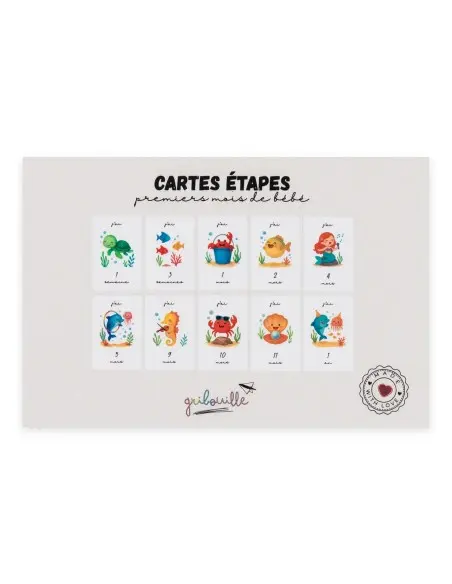 Gribouille Cartes étapes - premiers mois de bébé Album et