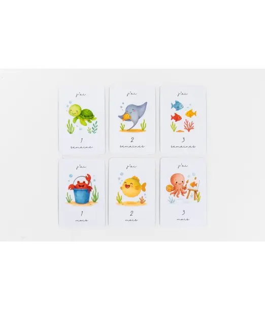 Gribouille Cartes étapes - premiers mois de bébé Album et 2