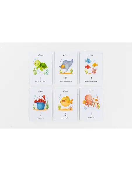 Gribouille Cartes étapes - premiers mois de bébé Album et