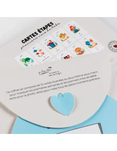 Gribouille Cartes étapes - premiers mois de bébé Album et
