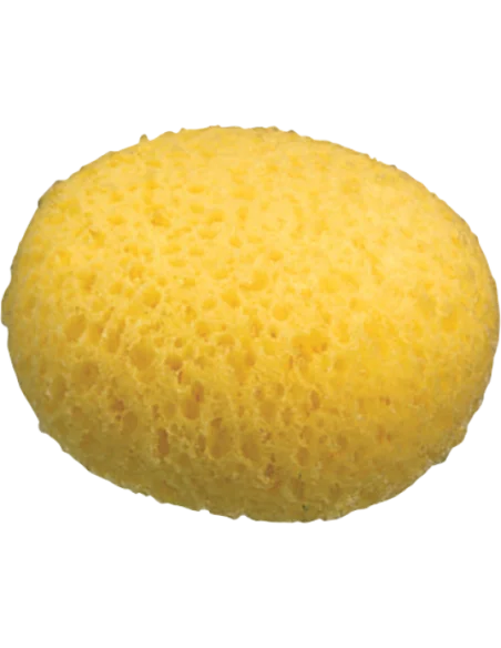 Eponge douceur hydrophile Tigex