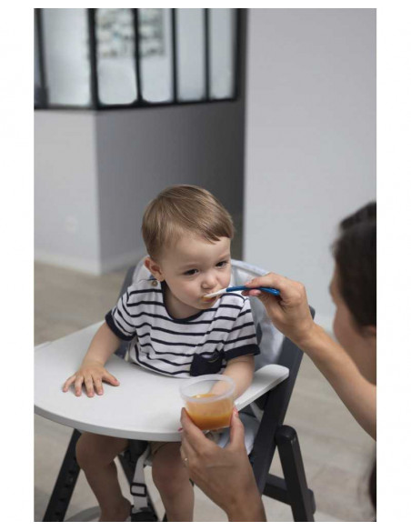 Babybols Contenants alimentaires 4x120ml Babymoov
