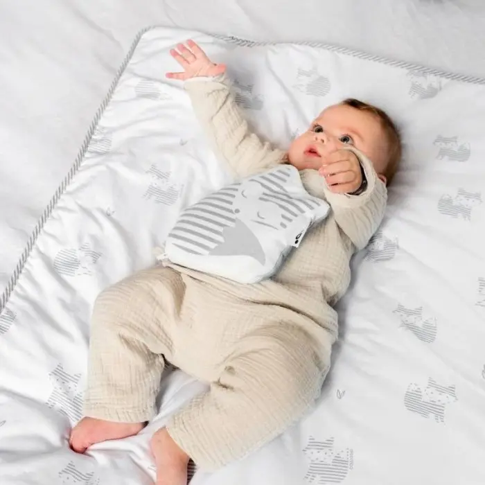 Couverture Dream 75X100 Fox gris Doomoo