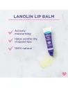 Baume à lèvres Lansinoh à la Lanoline 100% Naturel - Lansinoh