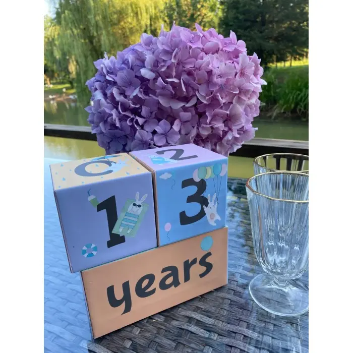 Cubes âge souvenirs Grossesse, Naissance et Anniversaire - 