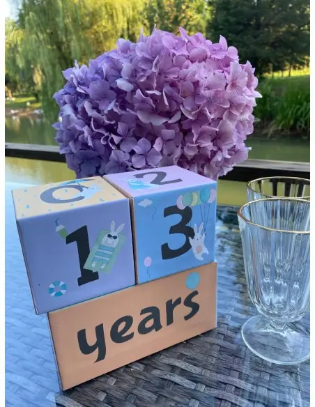 Cubes âge souvenirs Grossesse, Naissance et Anniversaire - 