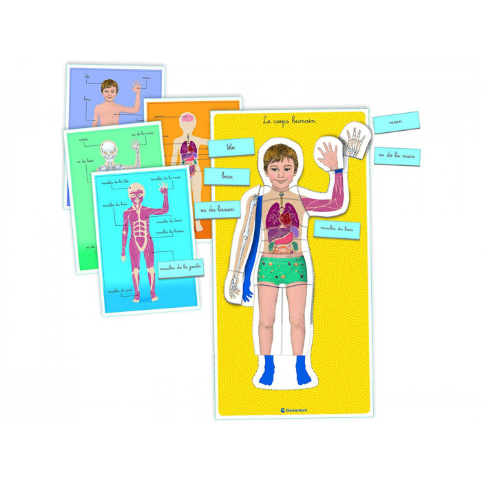Clementoni Education Le corps humain 3-6ans 3 - 5 ans -